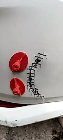 Toyota Corolla tampon boya